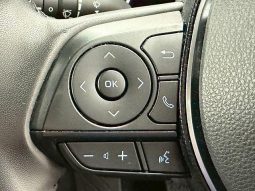 TOYOTA RAV4 ADVENTURE 2020 full