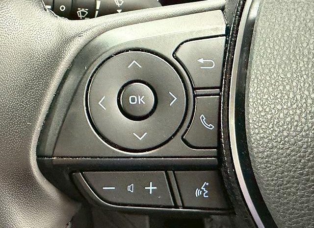 TOYOTA RAV4 ADVENTURE 2020 full