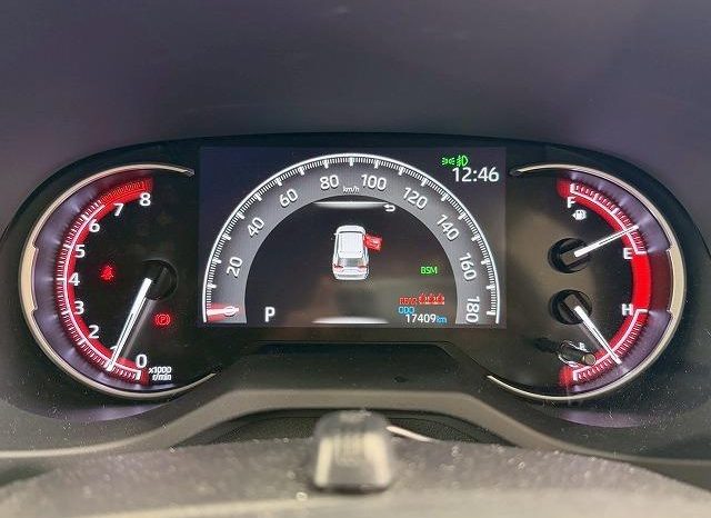 TOYOTA RAV4 ADVENTURE 2020 full