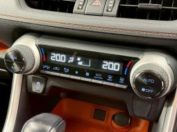 TOYOTA RAV4 ADVENTURE 2020 full