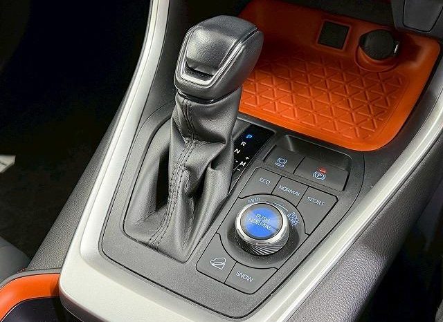 TOYOTA RAV4 ADVENTURE 2020 full