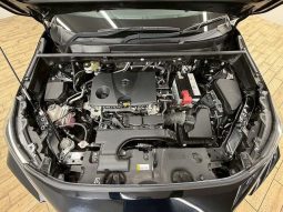 TOYOTA RAV4 ADVENTURE 2020 full