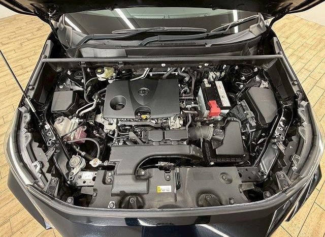 TOYOTA RAV4 ADVENTURE 2020 full