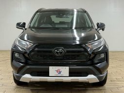 TOYOTA RAV4 ADVENTURE 2020 full