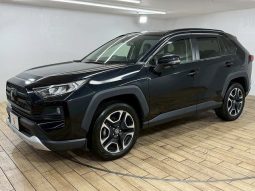 TOYOTA RAV4 ADVENTURE 2020 full