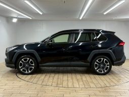 TOYOTA RAV4 ADVENTURE 2020 full