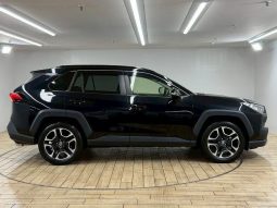 TOYOTA RAV4 ADVENTURE 2020 full