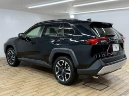 TOYOTA RAV4 ADVENTURE 2020 full