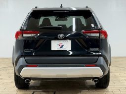 TOYOTA RAV4 ADVENTURE 2020 full