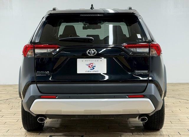 TOYOTA RAV4 ADVENTURE 2020 full