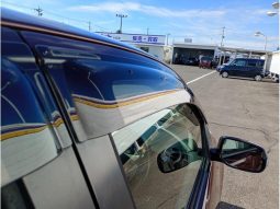 TOYOTA PASSO G F PACKAGE 2008 full