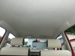 TOYOTA PASSO PLUS HANA 2010 full