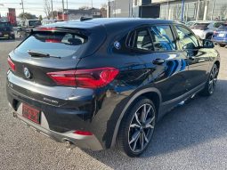 BMW X2 X DRIVE 20I M SPORT X 2018 full