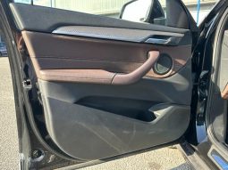 BMW X2 X DRIVE 20I M SPORT X 2018 full