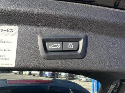 BMW X2 X DRIVE 20I M SPORT X 2018 full