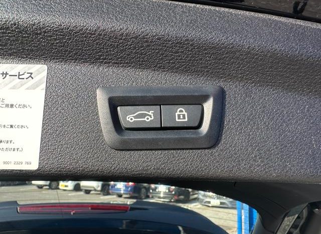 BMW X2 X DRIVE 20I M SPORT X 2018 full