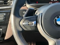 BMW X2 X DRIVE 20I M SPORT X 2018 full