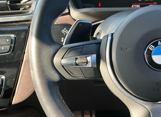 BMW X2 X DRIVE 20I M SPORT X 2018 full