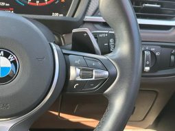 BMW X2 X DRIVE 20I M SPORT X 2018 full