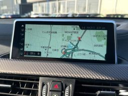 BMW X2 X DRIVE 20I M SPORT X 2018 full