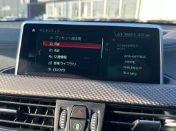 BMW X2 X DRIVE 20I M SPORT X 2018 full