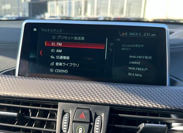 BMW X2 X DRIVE 20I M SPORT X 2018 full