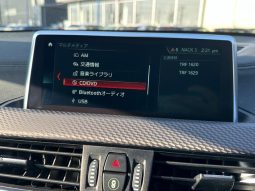 BMW X2 X DRIVE 20I M SPORT X 2018 full