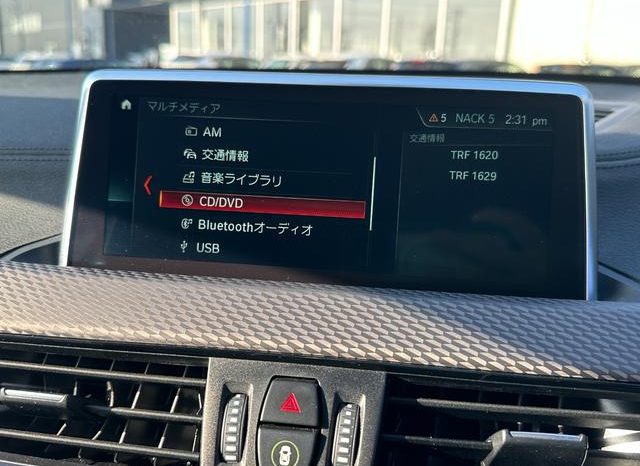 BMW X2 X DRIVE 20I M SPORT X 2018 full