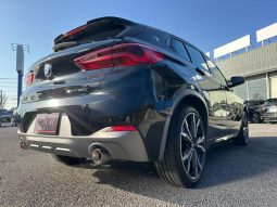 BMW X2 X DRIVE 20I M SPORT X 2018 full