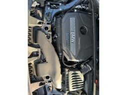 BMW X2 X DRIVE 20I M SPORT X 2018 full