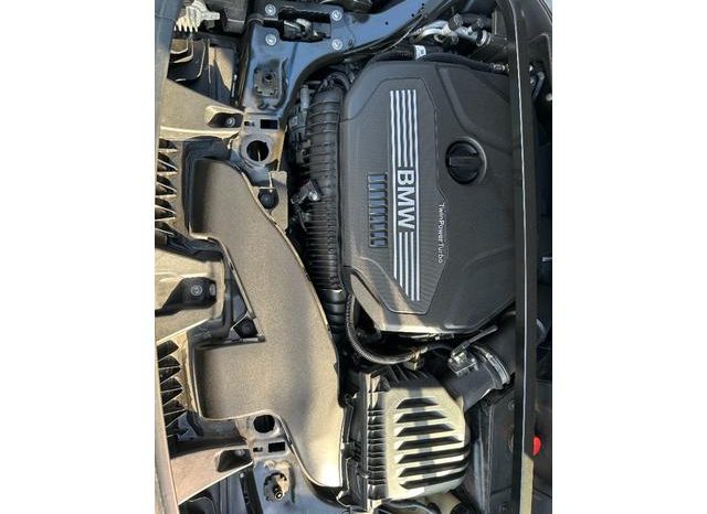 BMW X2 X DRIVE 20I M SPORT X 2018 full