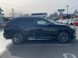 TOYOTA RAV4 G Z PACKAGE 2019 full