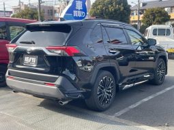 TOYOTA RAV4 G Z PACKAGE 2019 full
