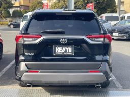 TOYOTA RAV4 G Z PACKAGE 2019 full