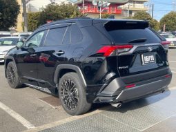 TOYOTA RAV4 G Z PACKAGE 2019 full