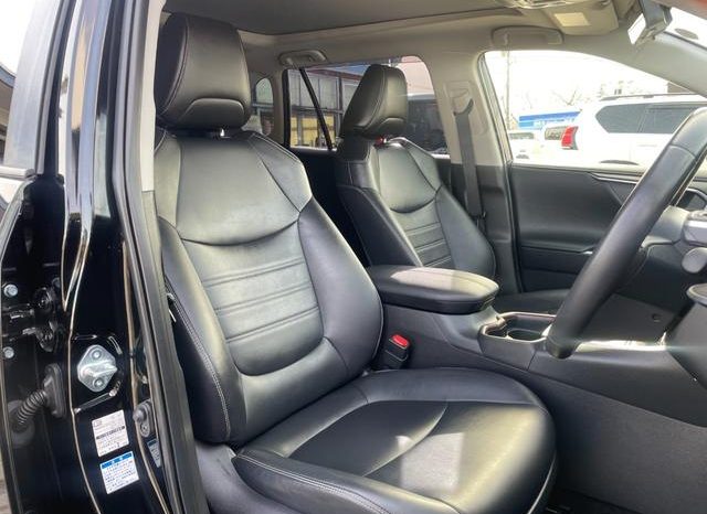 TOYOTA RAV4 G Z PACKAGE 2019 full