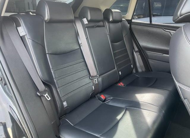 TOYOTA RAV4 G Z PACKAGE 2019 full