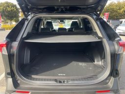 TOYOTA RAV4 G Z PACKAGE 2019 full