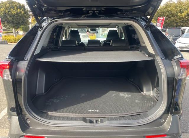 TOYOTA RAV4 G Z PACKAGE 2019 full