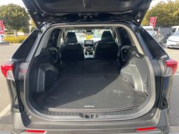 TOYOTA RAV4 G Z PACKAGE 2019 full