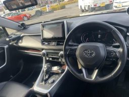 TOYOTA RAV4 G Z PACKAGE 2019 full