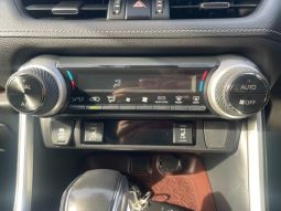 TOYOTA RAV4 G Z PACKAGE 2019 full