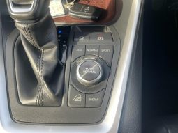 TOYOTA RAV4 G Z PACKAGE 2019 full