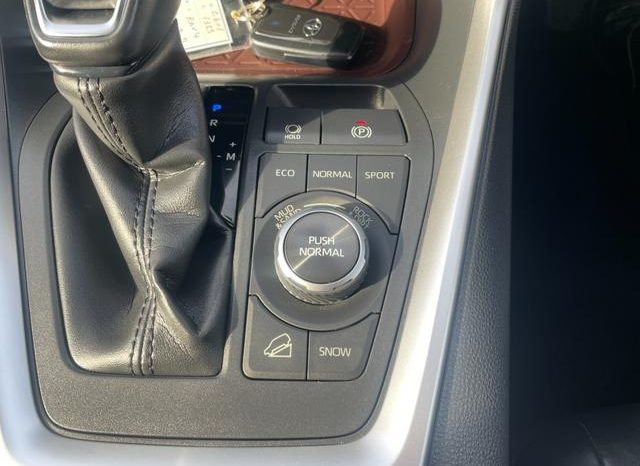 TOYOTA RAV4 G Z PACKAGE 2019 full