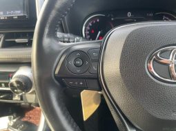 TOYOTA RAV4 G Z PACKAGE 2019 full