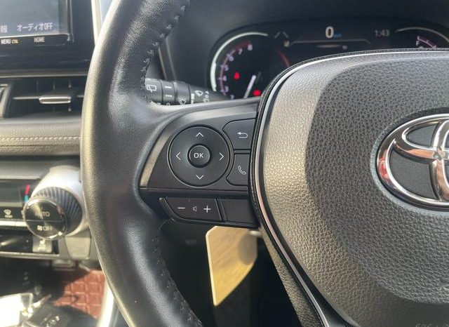 TOYOTA RAV4 G Z PACKAGE 2019 full