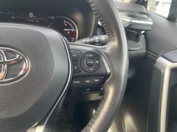 TOYOTA RAV4 G Z PACKAGE 2019 full