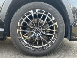 TOYOTA RAV4 G Z PACKAGE 2019 full