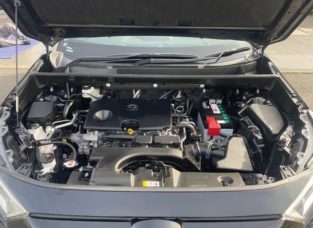 TOYOTA RAV4 G Z PACKAGE 2019 full