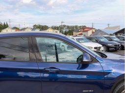 BMW X1 X DRIVE 18D X LINE 2016 full